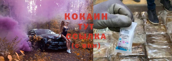 соль ск Болотное